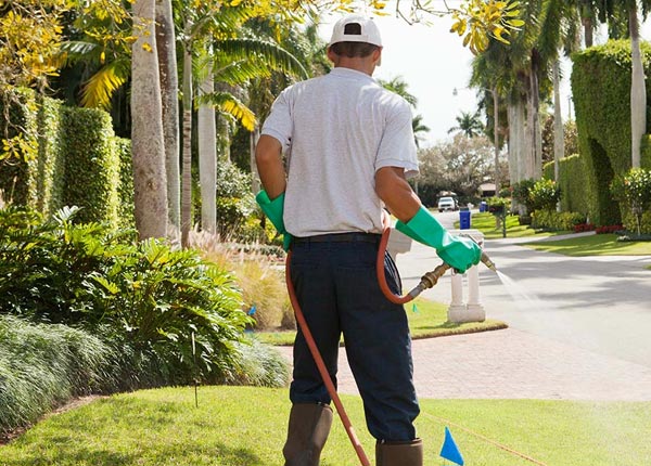 About Champlin MN Pest Control Pros
